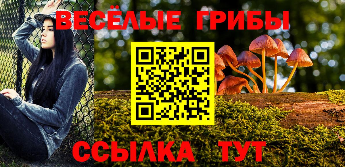 Галлюциногенные грибы Psilocybe Котельники